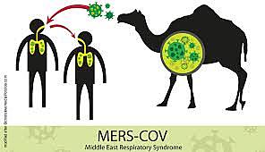 MERS (2012-ACT)