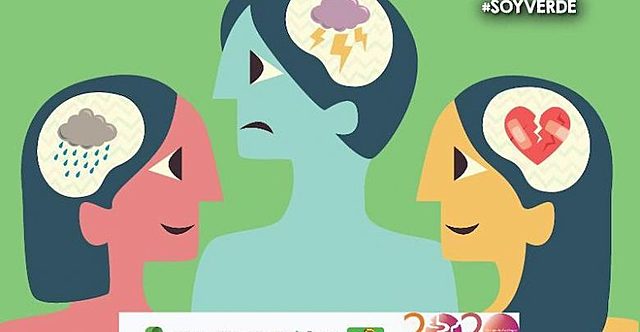 DSM Cambios Organización DSM V