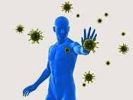 Indicadores, epidemiologia, morbimortalidad