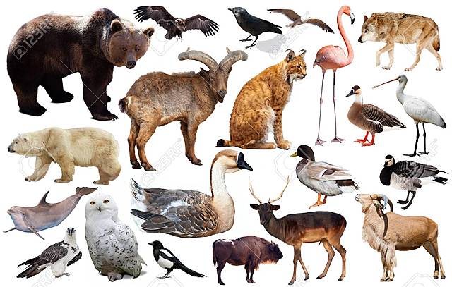 Paleógeno. Hace 65 m.a