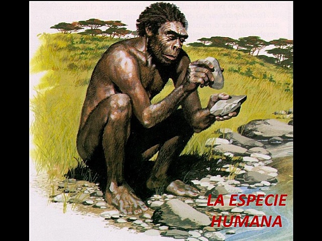 Cuaternario. Hace 2.5 m.a