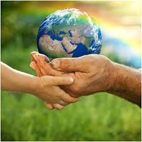 Estrategia mundial para la conservación 1980