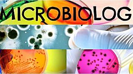 Timeline: Historia de la microbiologia