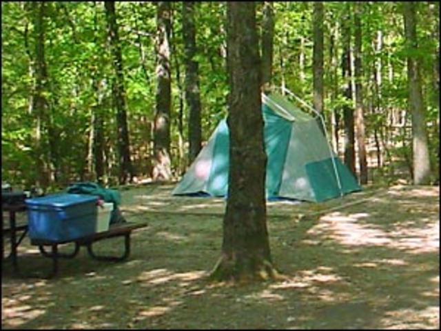 Campsites, a visitor center, a gift shop, and other amenities were built