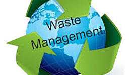 Timeline: Team Watini Waste Management Research Projects 2020