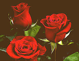 El propósito fundamental de la vida