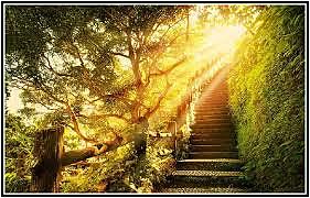 El secreto de la felicidad de por vida