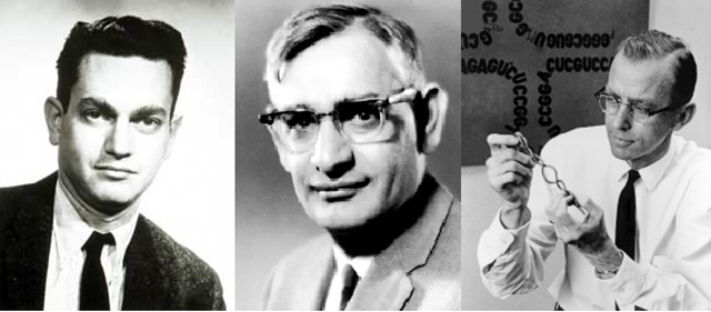 Nirenberg, Holley and Khorana crack the genetic code and identify protein synthesis from mRNA