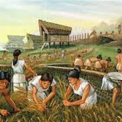 Timeline: Revolução agricula
