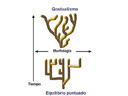 Teoría del equilibrio punteado