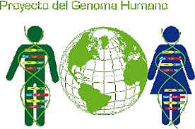 Proyecto genoma humano