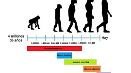 Timeline: Pensamiento evolucionista