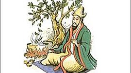 Timeline: ORIGEN  E HISTORIA DE LA TOXICOLOGIA