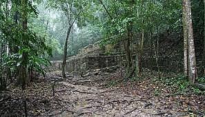 World population descreases again to 3.1 billion and cities become as a jungle.