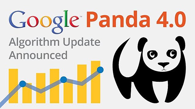 GOOGLE PANDA Y GOOGLE +