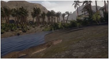 Éssers vius en la superfície terrestre