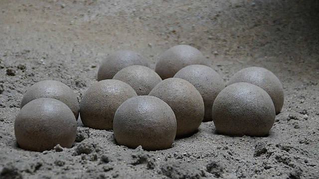 NOUS ÈSSERS VIUS EN LA SUPERFÍCIE DE LA TERRA