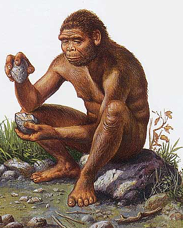 Homo erectus