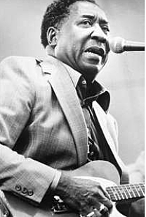 Muddy Waters Jumps Into Action