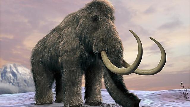 ETAPA DE L'EDAT DE GEL