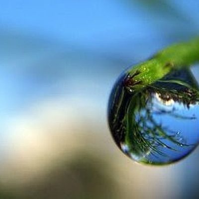 Timeline: LINEA DEL TIEMPO LOGROS Y AVANCES DE LA BIOLOGÍA (BERNARDO ESCOBAR HOMOBONO) 602