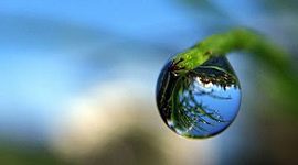 Timeline: LINEA DEL TIEMPO LOGROS Y AVANCES DE LA BIOLOGÍA (BERNARDO ESCOBAR HOMOBONO) 602