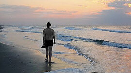 Timeline: Future Life Project