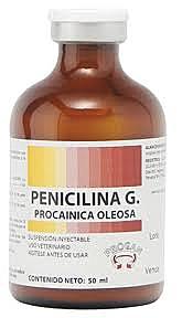 penicilina
