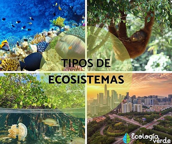 Ecosistema