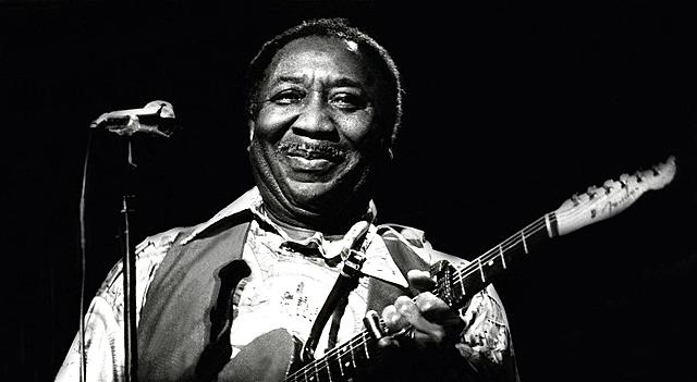 Rise of Muddy Waters