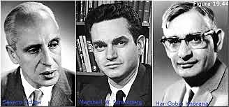 Niremberg, Ochoa, Khorana