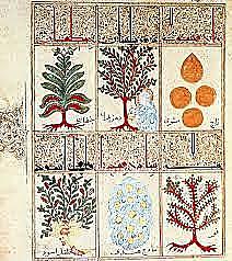 EDAD BRONCE -MESOPOTAMIA