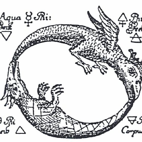 Bases de la idea de autopoiesis por Maturana y Varela