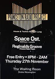 Princeton Radio Project