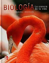 EDAD  DE BRONCE,  PAPIRO DE EBERS