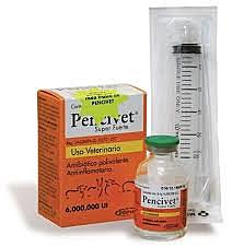 international penicillin unit