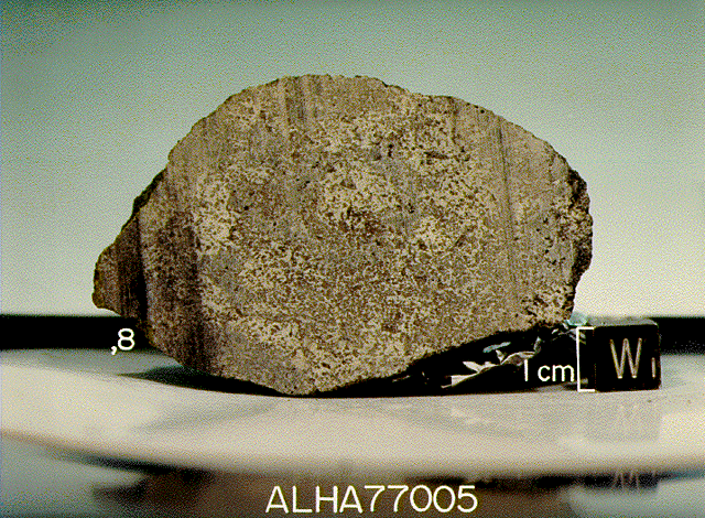 The discovery of Allan Hills 77005, the first martian meteorite found in Antartica