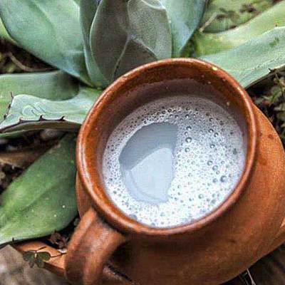 Timeline: Pulque timeline