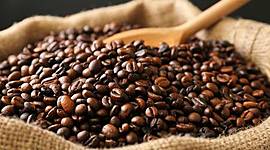 Timeline: THE COFFEE