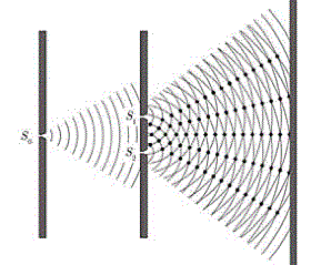 Experiencia de Young