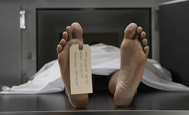 EDAD COMTEMPORANEA - SELMI