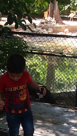 mi  visita al zoologico