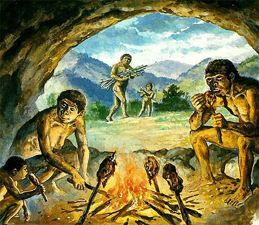 Homo Erectus