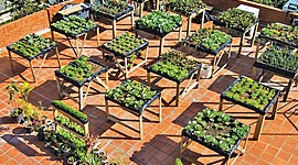 Timeline: RIEGO AUTOMATICO DE CULTIVOS