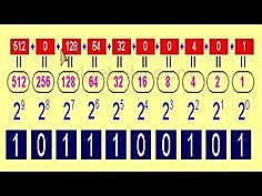 Sistema de contabilidad . sistema binario