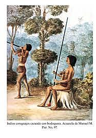 DESARROLLO DE LA TOXICOLOGÍA EN AMÉRICA