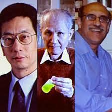 Osumu Shimomura, Martin Chalfie, Roger y Tsien