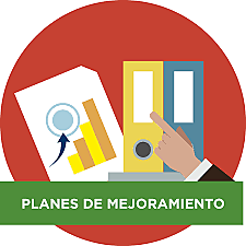 Formulación de planes de mejoramiento.