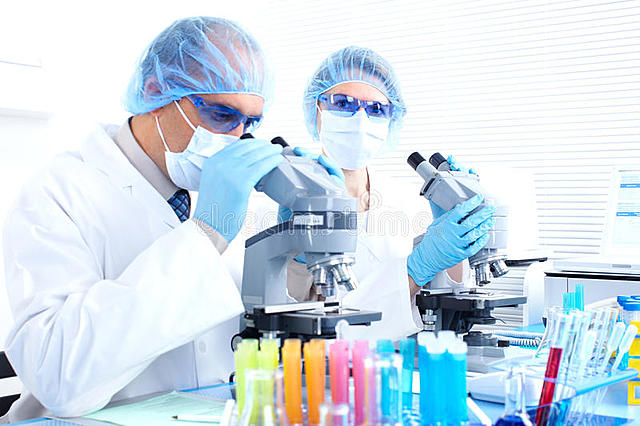 DOCTORADOS EN BRASIL