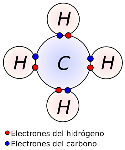 Confirmación del Carbono e Hidrogeno